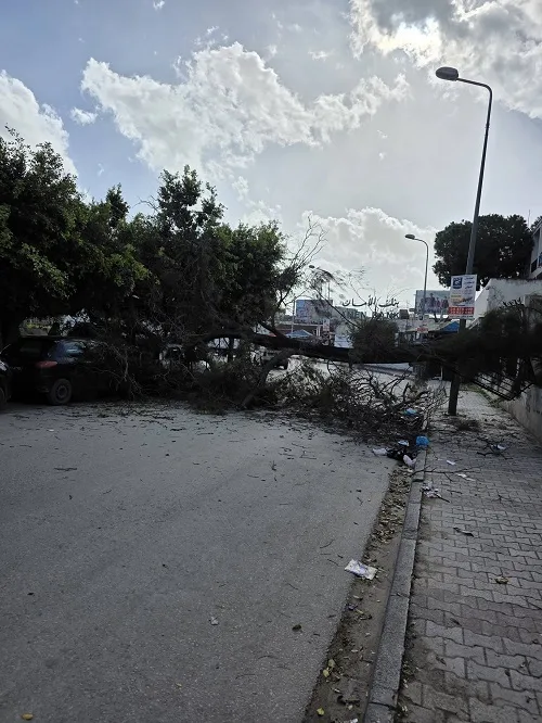 Tunis, 12 février 2026 – Images : IFM Info Trafic