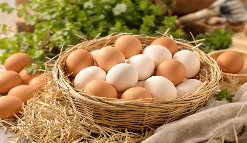 Les producteurs alertent sur une crise des prix de