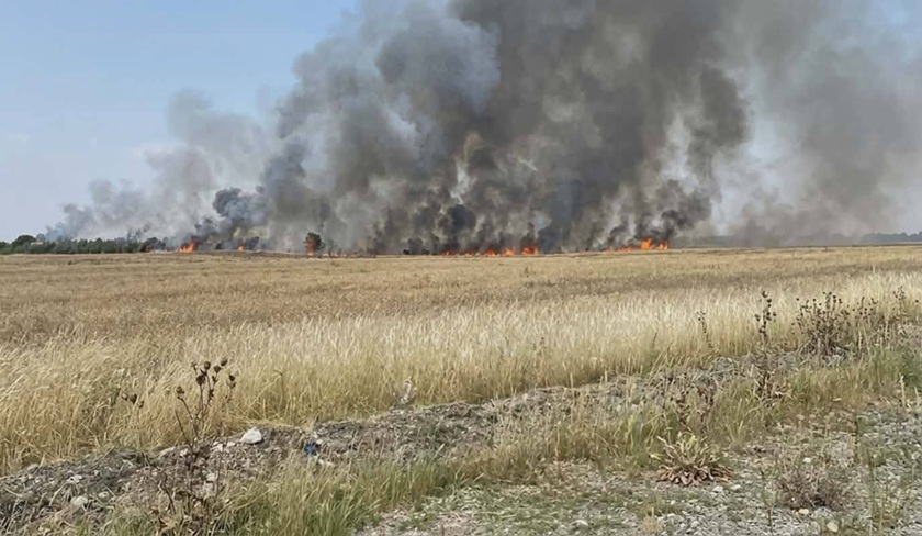 Manouba : un incendie ravage dix hectares de cultures céréal