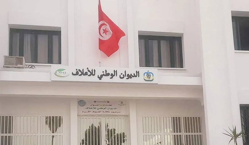 Tunisia's National Office of Forage Sets New Corn Prices