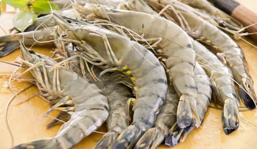Baisse des prix des crevettes en Tunisie