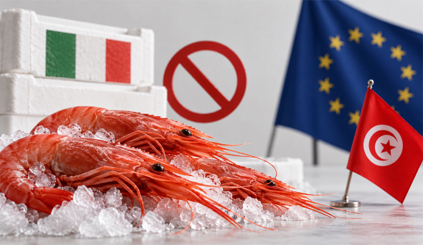 Tunisia's Shrimp Prices Raise Concerns Over Quota Exceedance