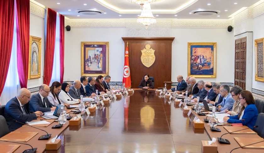 تونس تعلن دعمًا ماليًا كبيرًا لمزارعي الزيتون في موسم 2026-2027